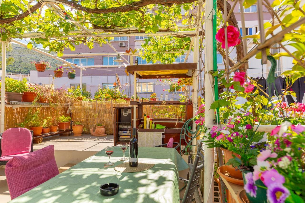 Studio Ibis Appartement *
